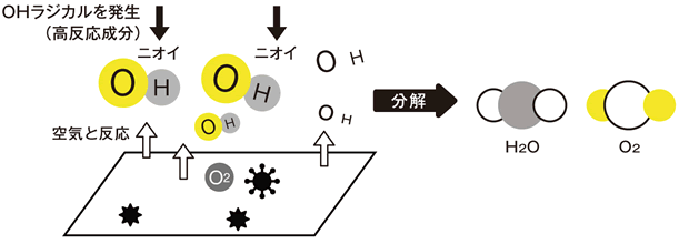有害物質の分解